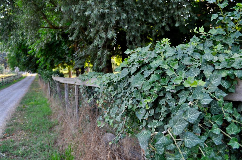 Bed and Breakfast Le Macine Relais Cairo Montenotte Exteriér fotografie